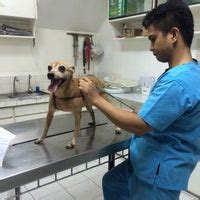 bacolod animal hospital